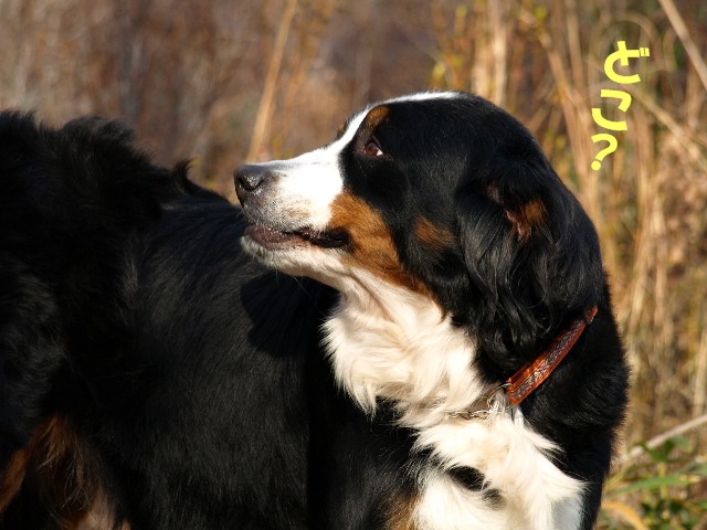 080101-006.jpg