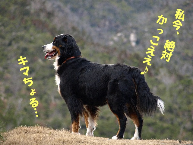 080204-006.jpg