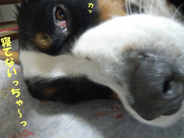 071112-004.jpg