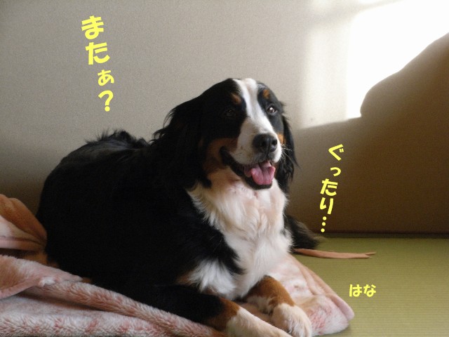 071027-044.jpg