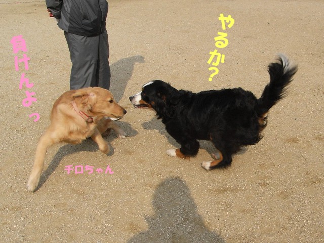 071202-004.jpg
