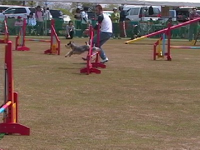 スピードアップ♪