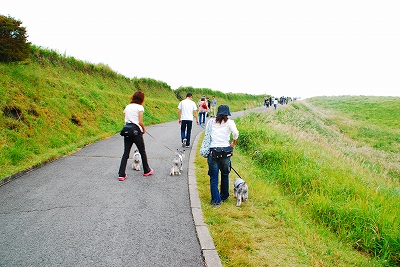 大観峰をお散歩♪