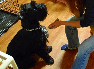 なめてんのかヾ(▼ヘ▼;)コラ！!