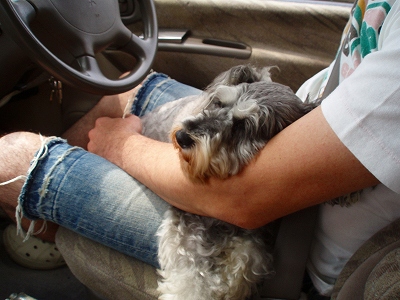 いつもの車内♪