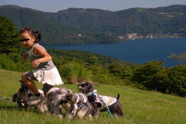 ワンコマスター