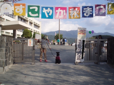 すこやか祭り!！