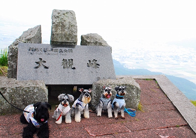 左からA&R&D&T&B♪