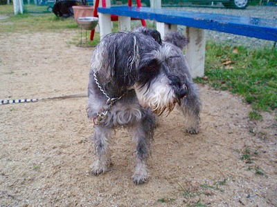 レノちゃん細！!