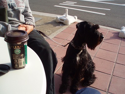 JAFさん、まだ？