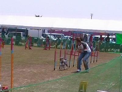 o(゜◇゜o)ホエ?