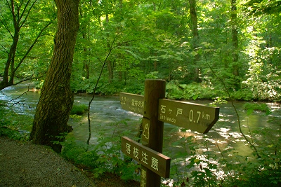 奥入瀬　６