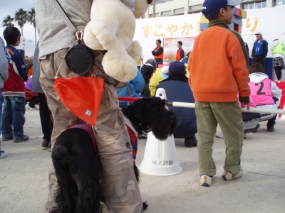 応援でアルよ♪