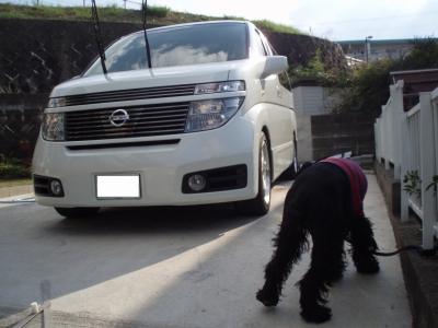 また洗車であるか？