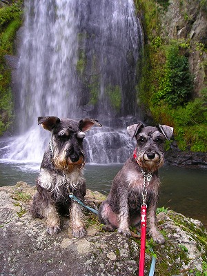 D&R ｉｎ カッパ滝