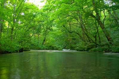 奥入瀬　９