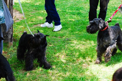 アトムくん＆長門くん♪