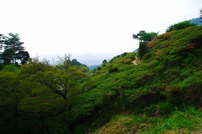 ツツジはどこ？？