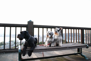 みんなでパシャ♪