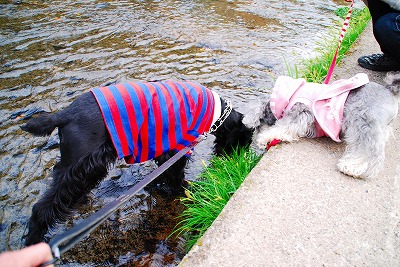 レノちゃんも～（怒）