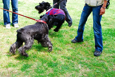 ちょっと～！!落ち着いてください～！！！