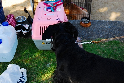 マリーさん「こんにちは～♪」