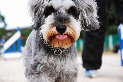 ズンズンズン！！