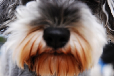 ド━━━(゜ロ゜;)━━ン!!