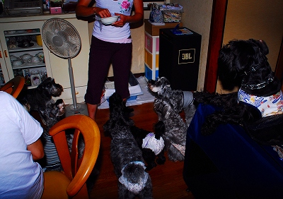 みんな集まれ～♪