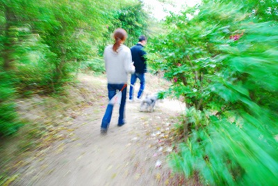 歩け歩け！！！