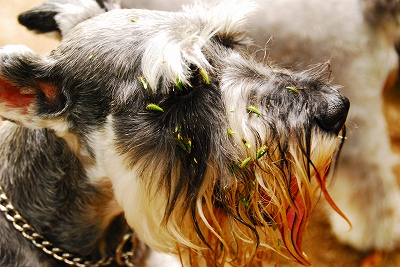 植物に負けた(^▽^;)