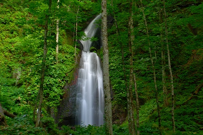 奥入瀬　１４　雲井の滝