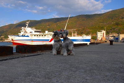 ちっちゃいフェリー♪