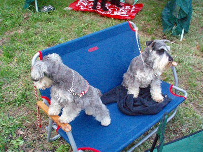 デニレノキャンプ♪