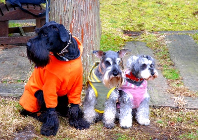 デニ＆レノ＆アル♪