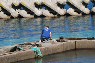 例の奴採取中のオレ