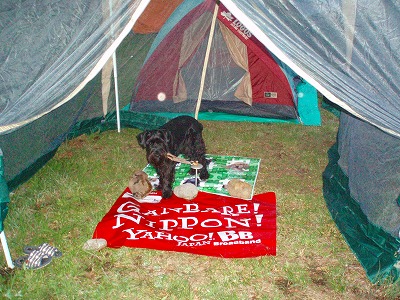 アルもキャンプ♪