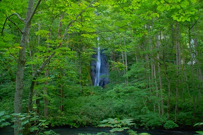 奥入瀬　１５　白布の滝