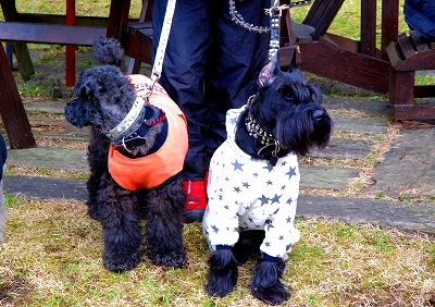 ドゥルガー＆ブラフマー♪