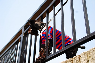 覗き見アル坊♪