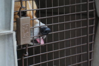 鼻マックス！！