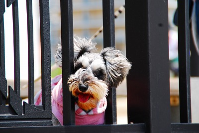 覗き見レノちゃん♪