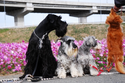 マル捕獲(^ー^* )フフ♪