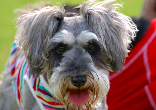 レノちゃんスマイル♪