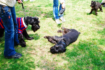 お休み中スミマセン♪