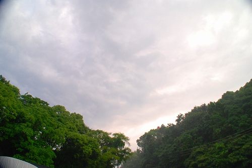 また、降りだしそうだね(^^;)