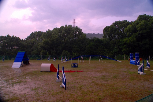 ビショビショです(-_-;)