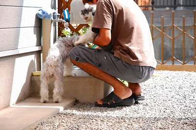 ワンコ主催飲み会♪