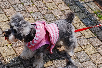 レノさ～ん・・・