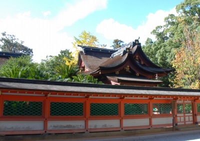 紅葉してねーじゃん！！